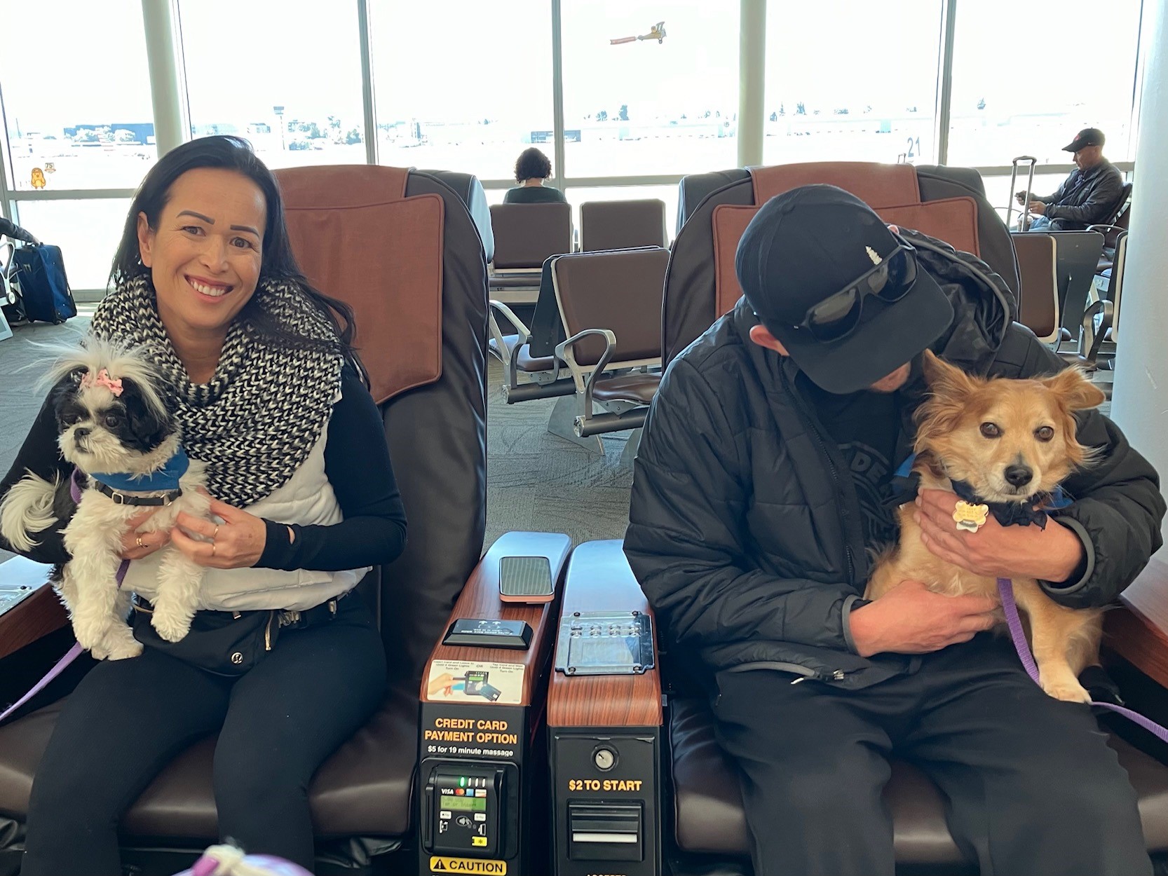 Therapy animal at SJC