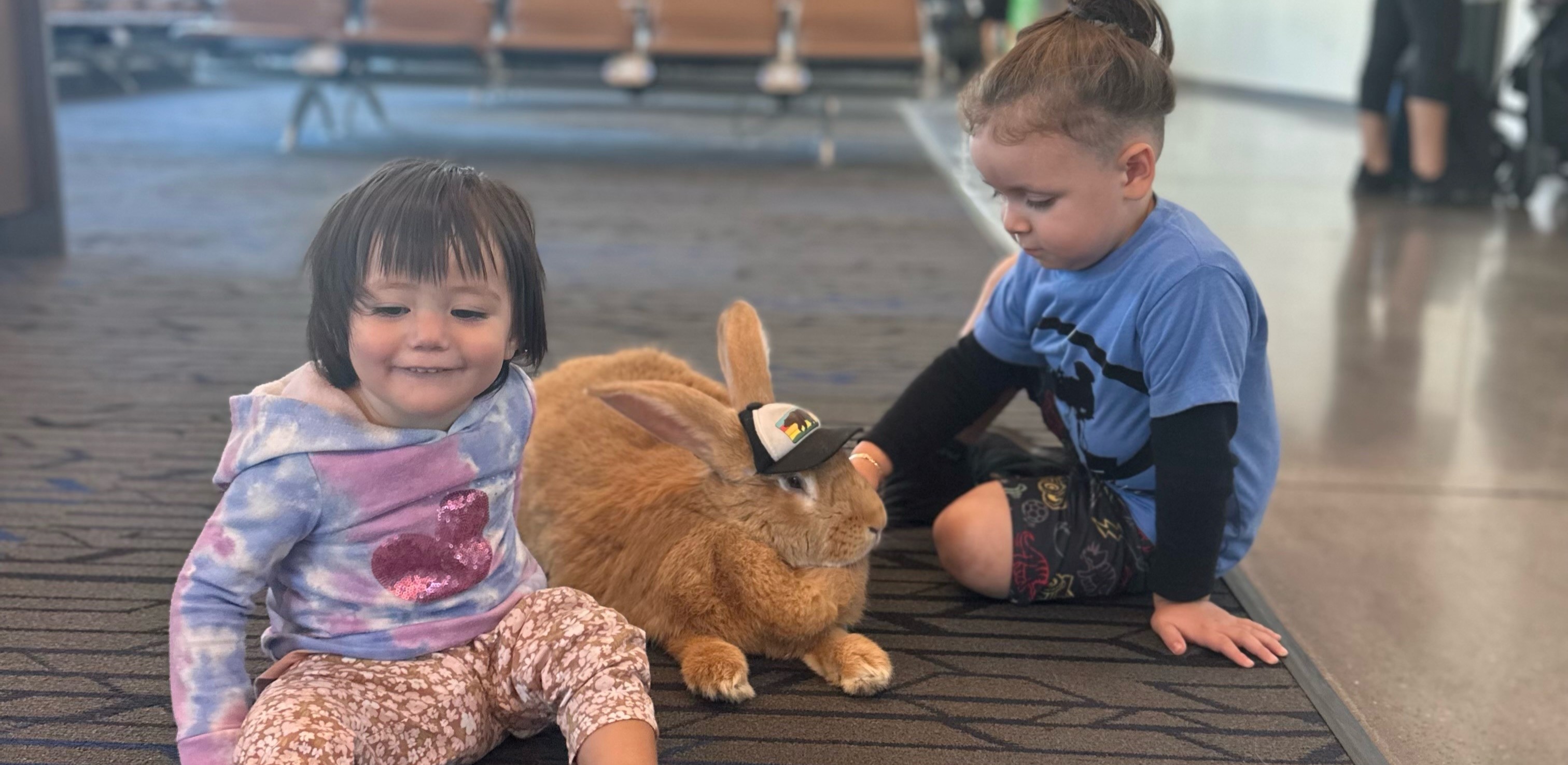 Alex the Bunny with Kids