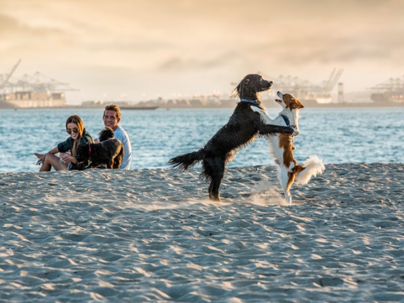 Long Beach, California - LGB