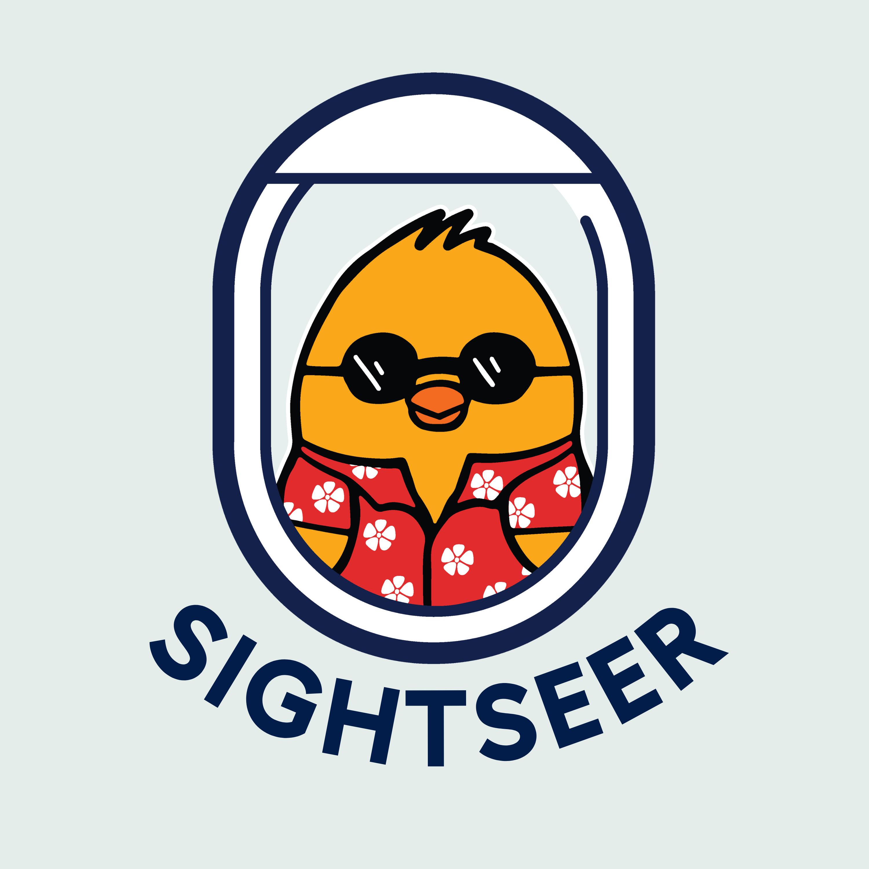 Sightseer Robbie Chick