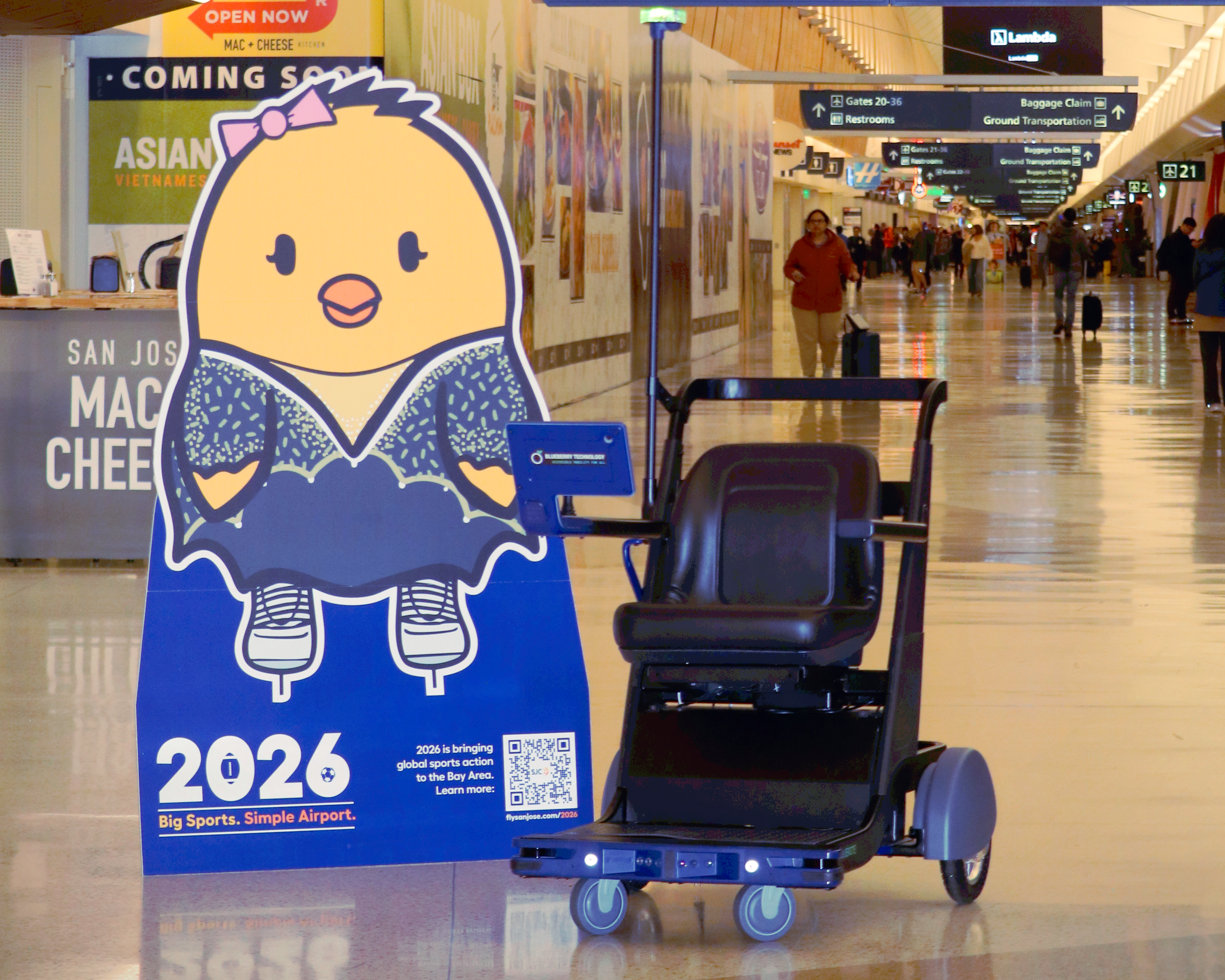 Blueberry Chairs in Tb