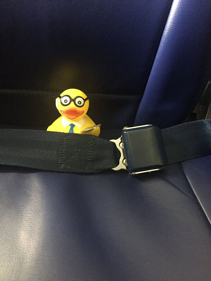 #SJCduck-Houston-bound.jpg