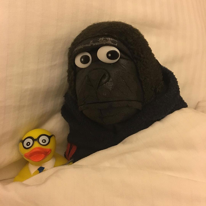 @augiezl-and-@sjcduck-enjoying-the-hotel-room-and-Austin-TX-amenities-while-I-have-to-go-to-work-#sjcduck.jpg