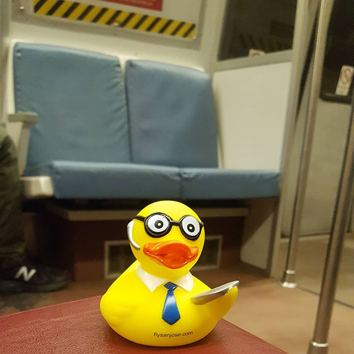 Where-is-Seymour-J.-Canard-headed-#SJCduck-#swipeleft-#themetro-#washingtonmonument-#lincolnmemorial-#whatagreatday.jpg