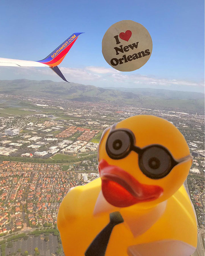 laurenschonekasart#sjcduck-SJC-MSY-3.5-hours.jpg