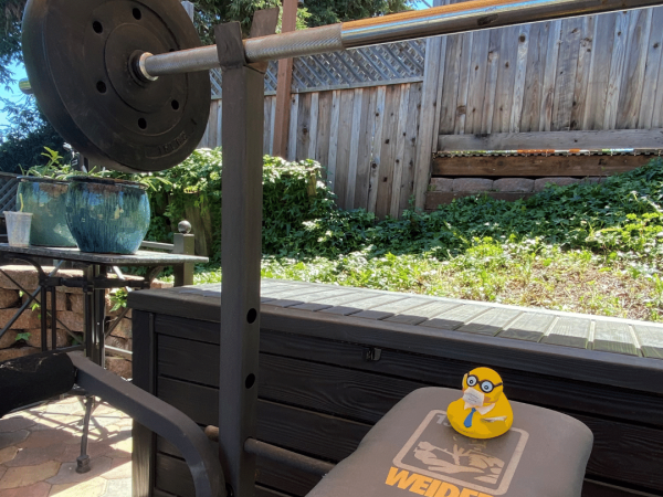 Seymour lifts weights