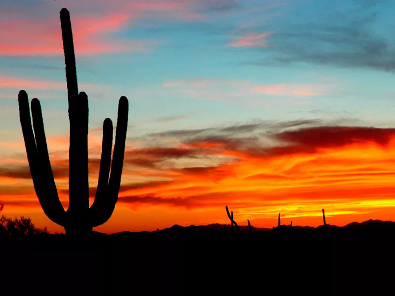 Tucson Arizona