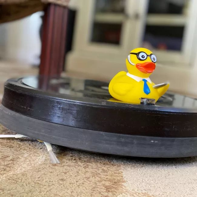 Seymour Roomba