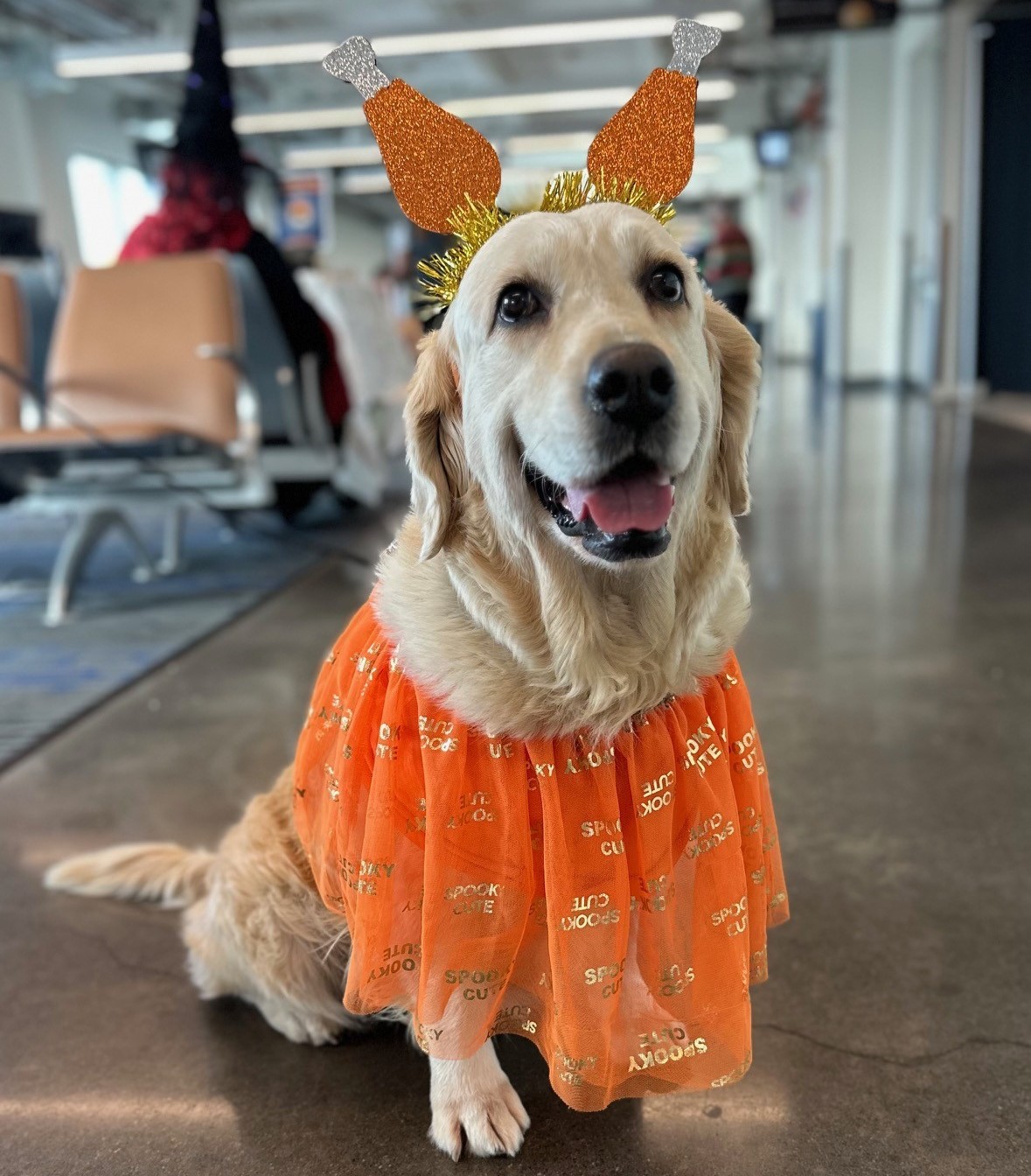 SJC Therapy Animal in costume